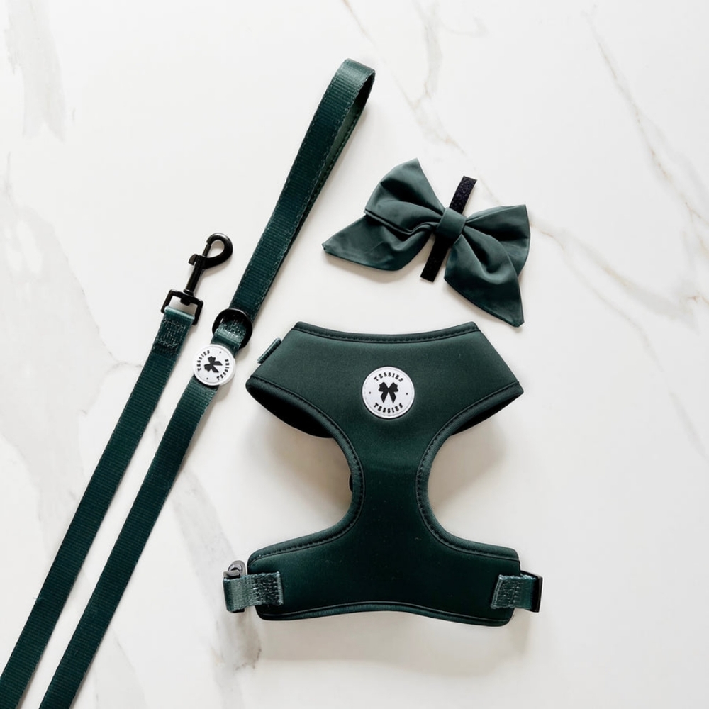 Tessies Elegant Emerald Harness + Bow